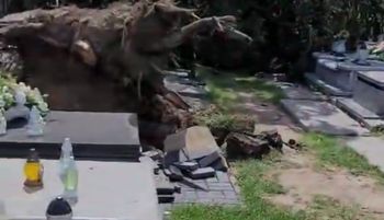 Dramatyczny widok. Aż zaczął nagrywać na cmentarzu. Niesie się post