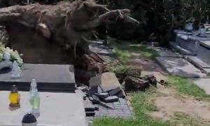 Dramatyczny widok. Aż zaczął nagrywać na cmentarzu. Niesie się post