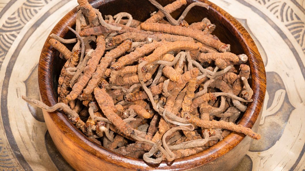 260 tys. złotych za kilogram. Jakie właściwości mają najdroższe grzyby świata?