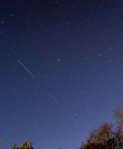 Kolejny start Falcon 9 od SpaceX. Satelity Starlink przelecą nad Polską