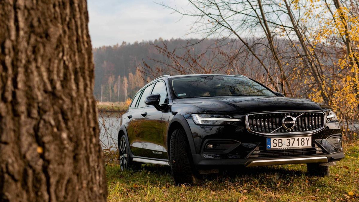 Zdjęcie ilustracyjne do artykułu