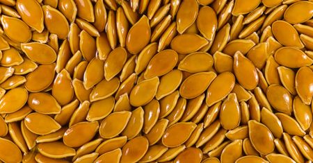 Najlepsze produkty dla twojego mózgu. Poprawią pamięć i koncentrację