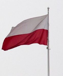 Zdjęli i zdeptali biało-czerwoną flagę. Policja zatrzymała trzech obywateli Niemiec