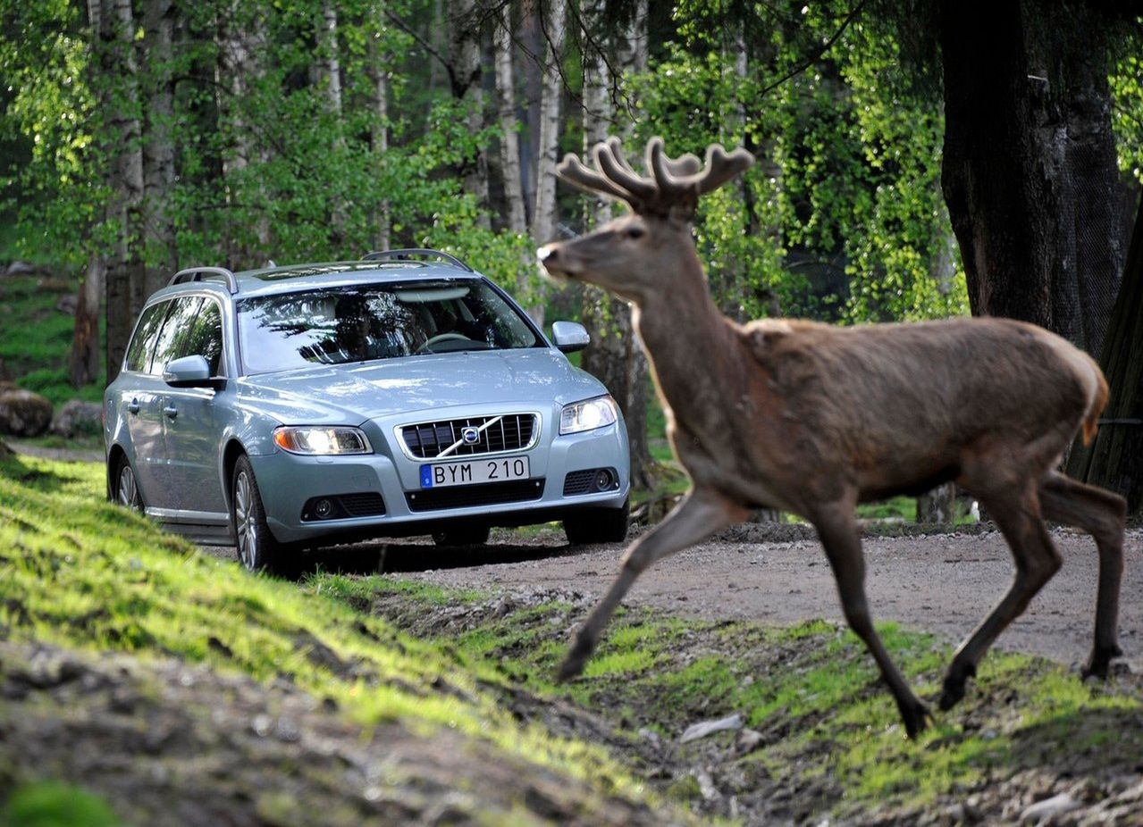 Volvo V70