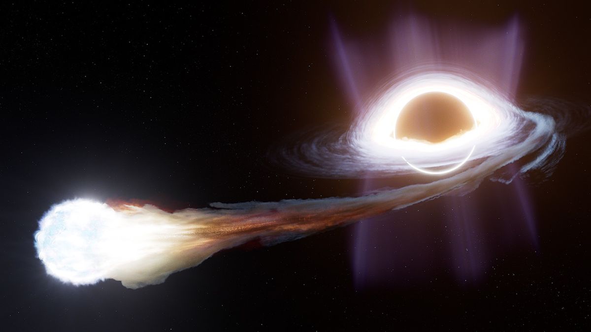 Rozerwanie gwiazdy przez czarną dziurę