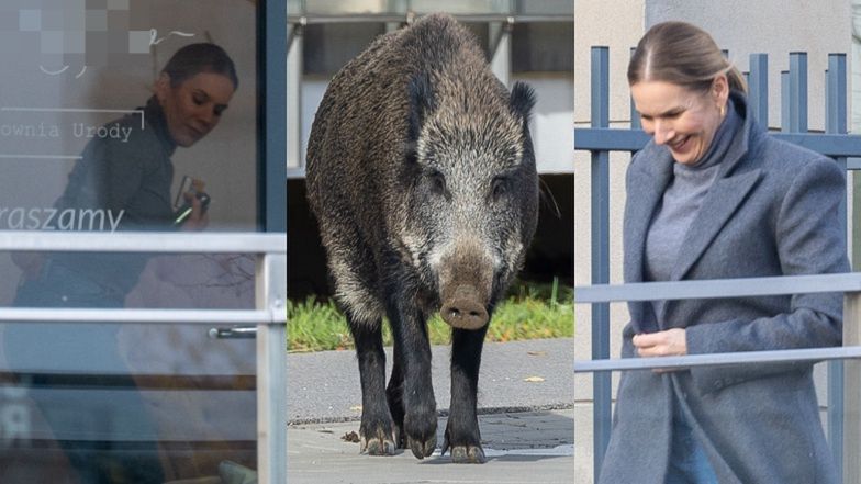 Marta Nawrocka pojechała na paznokcie i spotkała rodzinę dzików