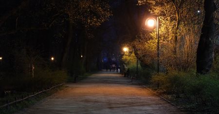 Lublin na godzinę pogrąży się w ciemności. Miasto dołącza do Godziny dla Ziemi WWF