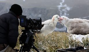 Netflix udostępnił filmy dokumentalne za darmo. Jest jeden haczyk