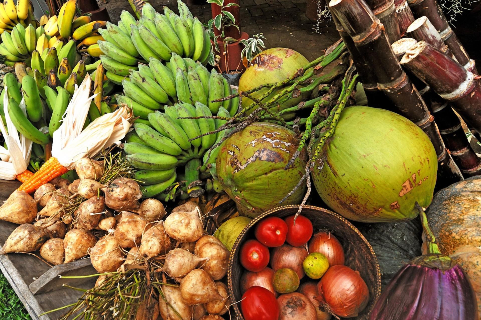Banany, maniok oraz kukurydza to najpopularniejsze produkty Tsimańczyków