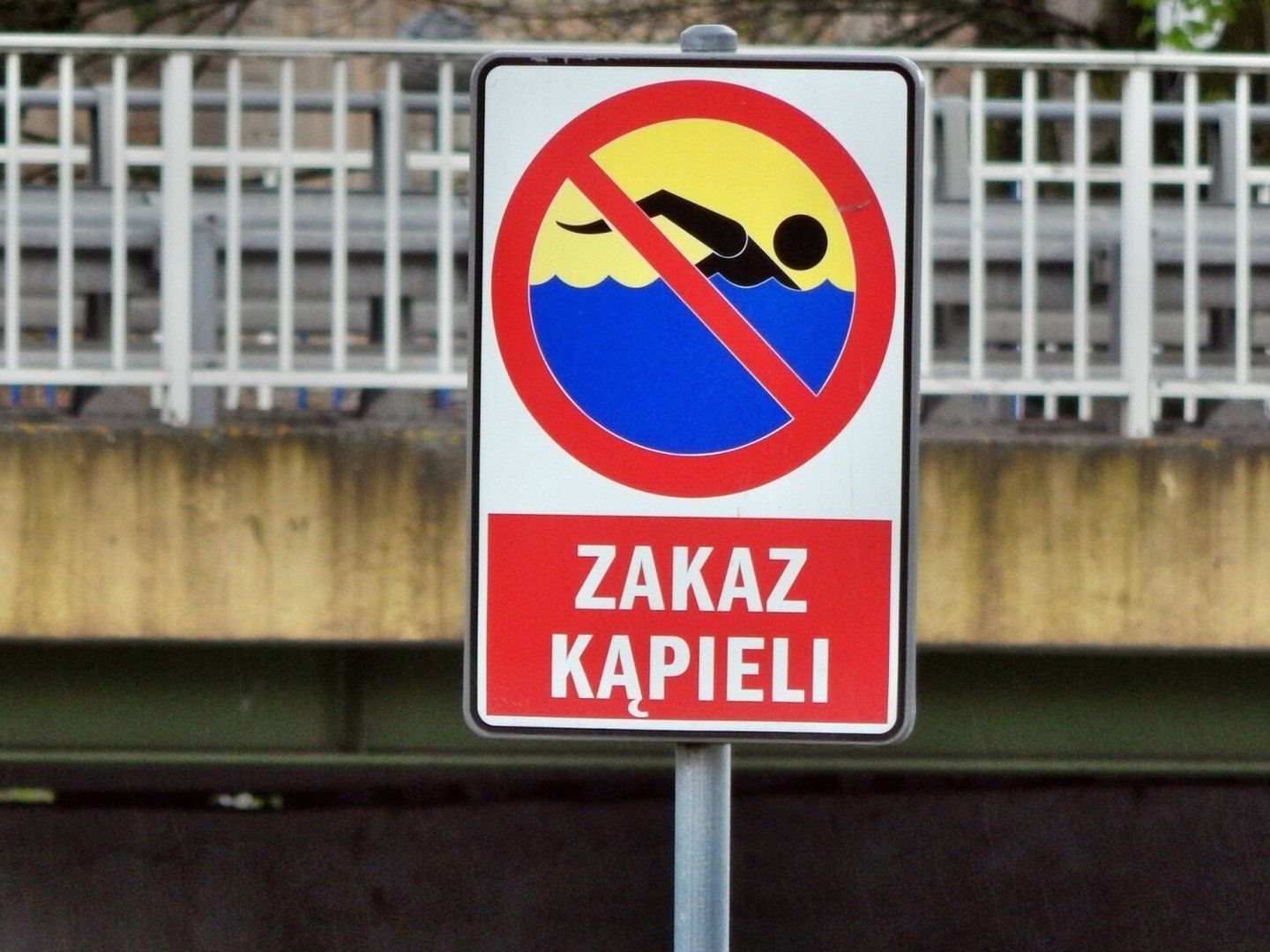 Wirtualna Polska