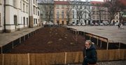 Kraków: Plac Wolnica już po pierwszych nasadzeniach. Zerwany beton zastąpiła rabata. Spokojnie. Na wiosnę zrobi się tu kolorowo