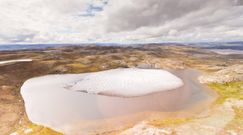 Lasy na Grenlandii. Niesamowite odkrycie sprzed miliona lat