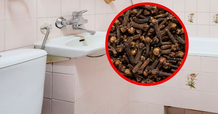 Rozsyp goździki za drzwiami łazienki. Pomoże na częsty problem