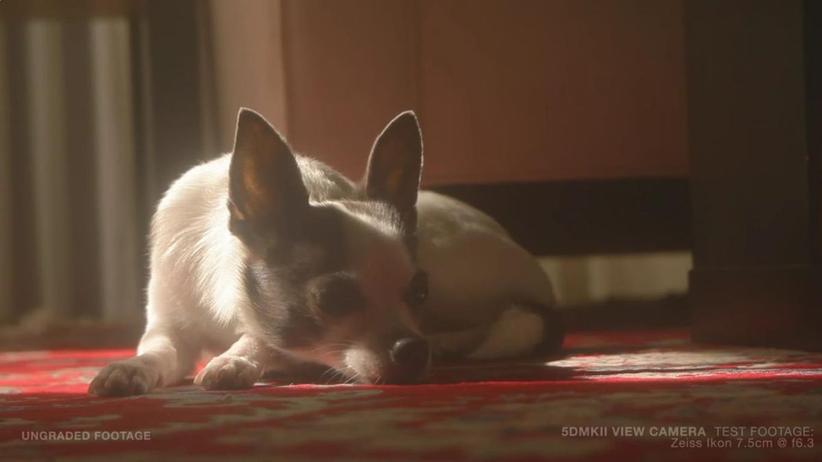 Jak wyglądają zdjęcia wykonane obiektywem sprzed wieku? 1