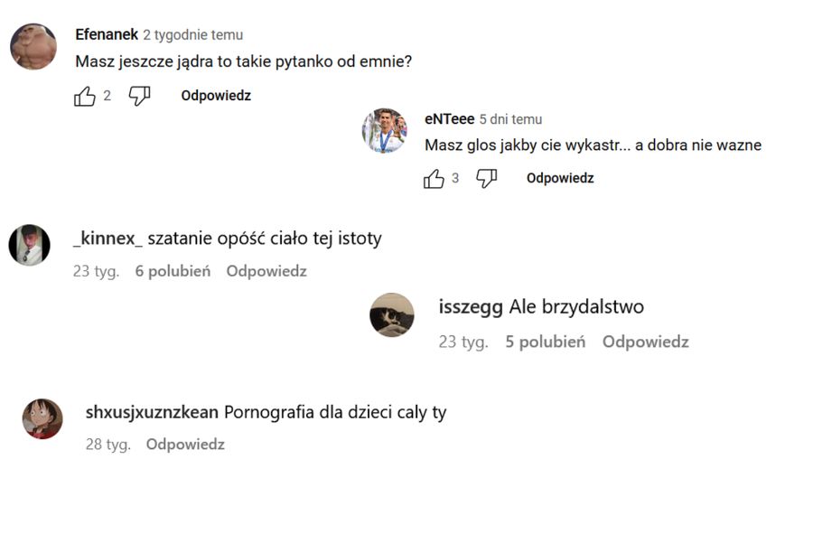 Komentarze obrażające Natalię "Nolif"