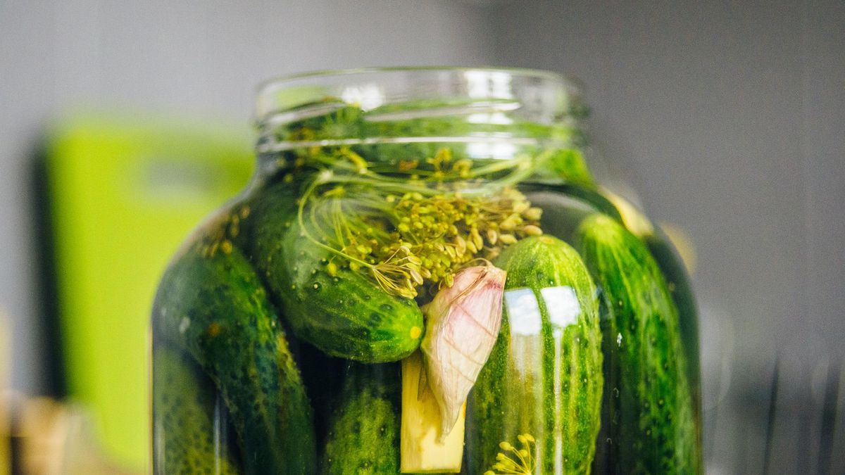 Ogórki konserwowe.