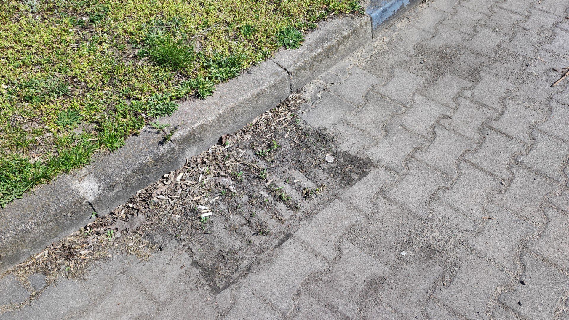 Bezpański tir blokuje parking przy Aleksandrowskiej