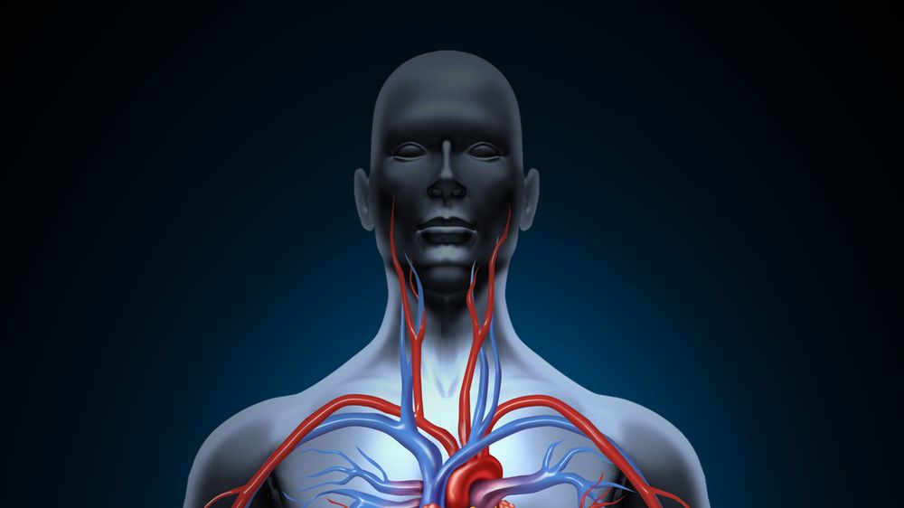 Naczyniaki nie są jedynymi zmianami naczyniowymi, które mogą pojawiać się w organizmie człowieka