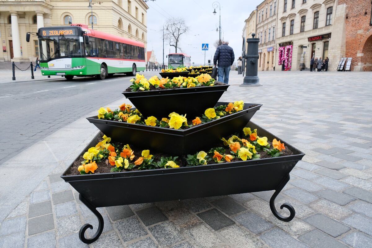 Bratki w nowych donicach przed Bramą Krakowską w Lublinie
