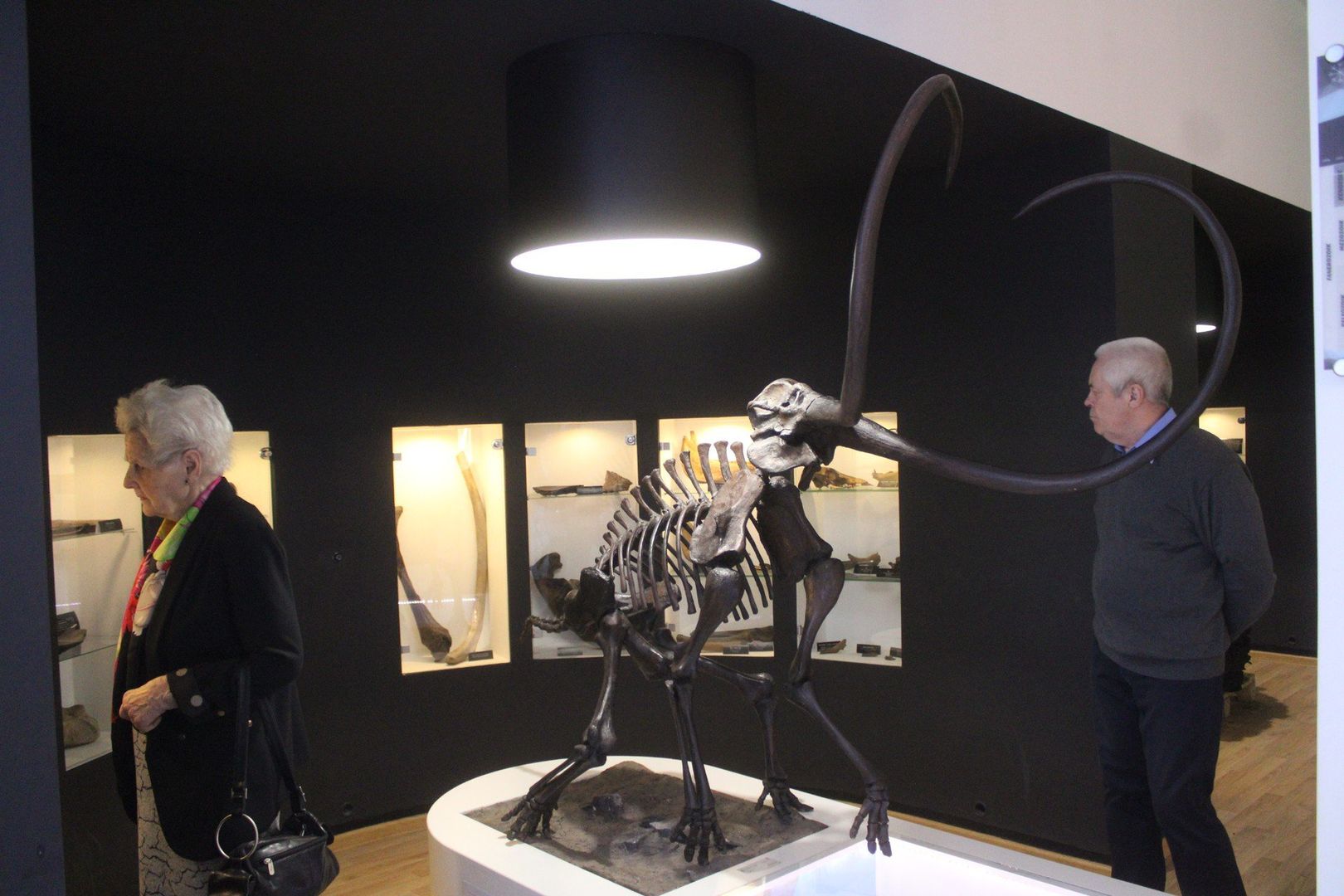 Noc Muzeów w Muzeum Regionalnym i Gigantach Mocy w Bełchatowie