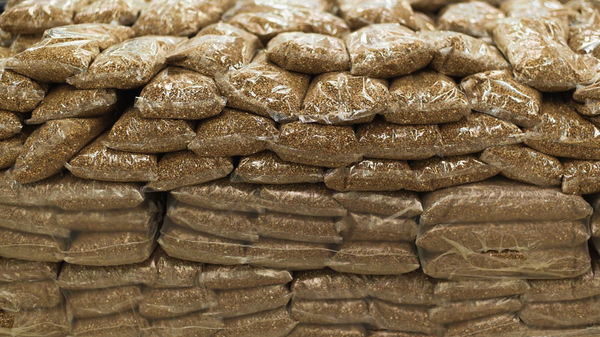 Kasza gryczana nie tylko wzmacnia naczynia krwionośne, ale wykazuje również działanie przeciwmiażdżycowe.