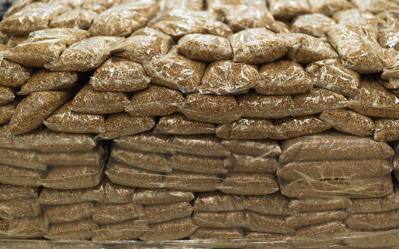 Czyści jelita ze złogów i obniża cholesterol. Wciąż niedoceniana przez Polaków