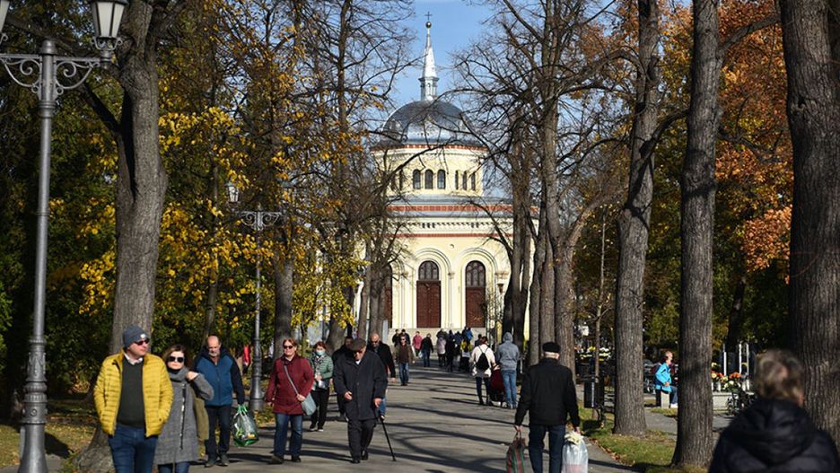Cmentarz Komunalny przy ulicy Wrocławskiej (Piotr Florek lca.pl)