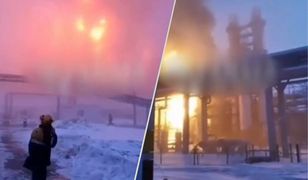 Ukraina stanowczo dementuje. "To fikcja"