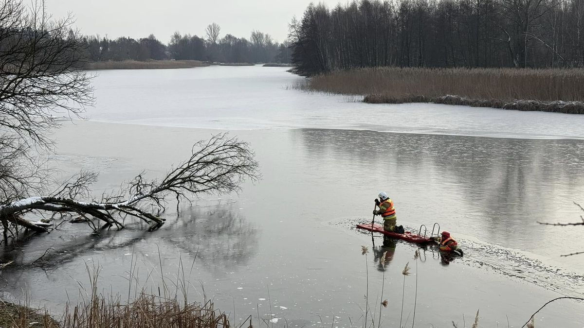 Interwencja druhów