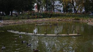 Rzeszów: Czy staw przy ul. Dąbrowskiego popada w ruinę?