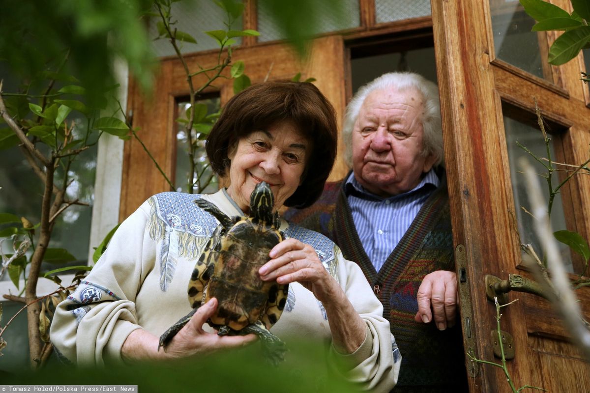 Hanna i Antoni Gucwińscy (fot. TOMASZ HOLOD / POLSKA PRESS)