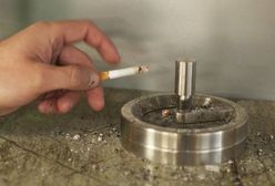 Wschodni dymek kusi palaczy. Przemyt kwitnie