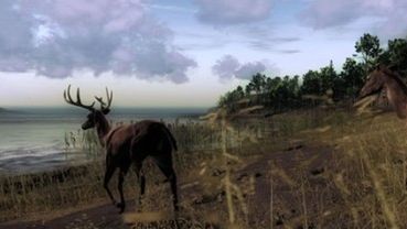 Jeleń + Crysis = The Hunter 1