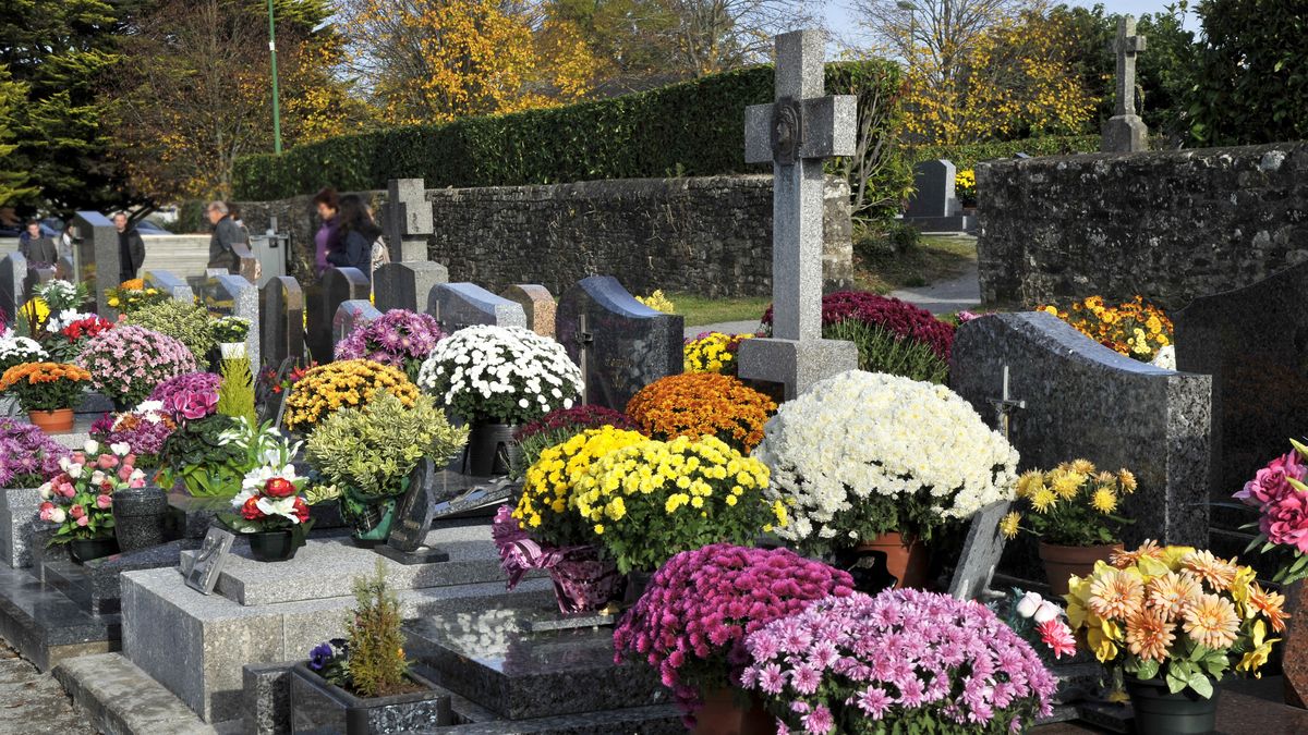 Jak przedłużyć świeżość kwiatów?