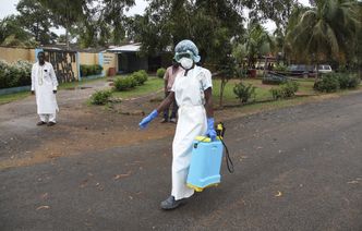 Epidemia Eboli. WHO nie zaleca ograniczeń w lotach