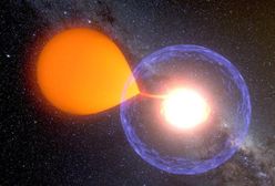 Astronomowie z UW zaobserwowali narodziny gwiazdy. "Teoria od 30 lat czekała na potwierdzenie"