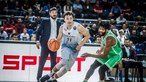 Horror i rollercoaster. Emocji podczas Memoriału Wojciecha Michniewicza nie brakuje