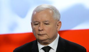 Słowik: "Likwidacja Izby Dyscyplinarnej, Kaczyński kupuje sobie czas" [OPINIA]