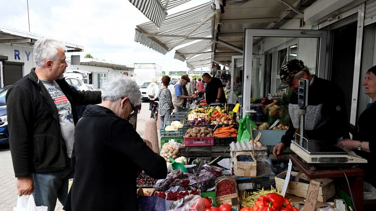 reporter_baza_2022-08
16.07.2022 Bialystok Gielda rolno-towarowa w Bialymstoku 
Fot. Leon Stankiewicz/REPORTER
Leon Stankiewicz/REPORTER