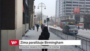 Zima paraliżuje Birmingham. Pogoda zaskoczyła Brytyjczyków (WIDEO)