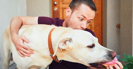 Choroby cywilizacyjne dotykają też zwierząt. To niepokojący sygnał