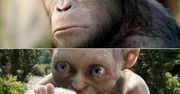 Andy Serkis: jak naprawdę wygląda odtwórca Golluma?