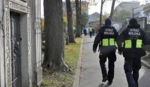 Stołeczni strażnicy będą tropić hieny. O zmroku wyjdą na patrole