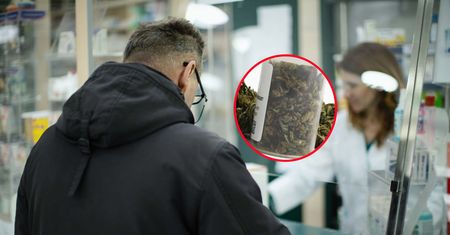 Medyczna marihuana już nie do zdobycia? "Pacjenci są przerażeni"