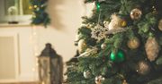Kiedy rozebrać choinkę? Zwyczaje jasno określają właściwy moment