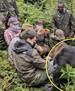 Pokazał nagranie z safari. Turyści wstrzymywali oddech