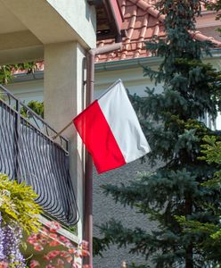 Jak sprawdzić dane w Centralnym Rejestrze Wyborców przed II turą wyborów prezydenckich 2025?