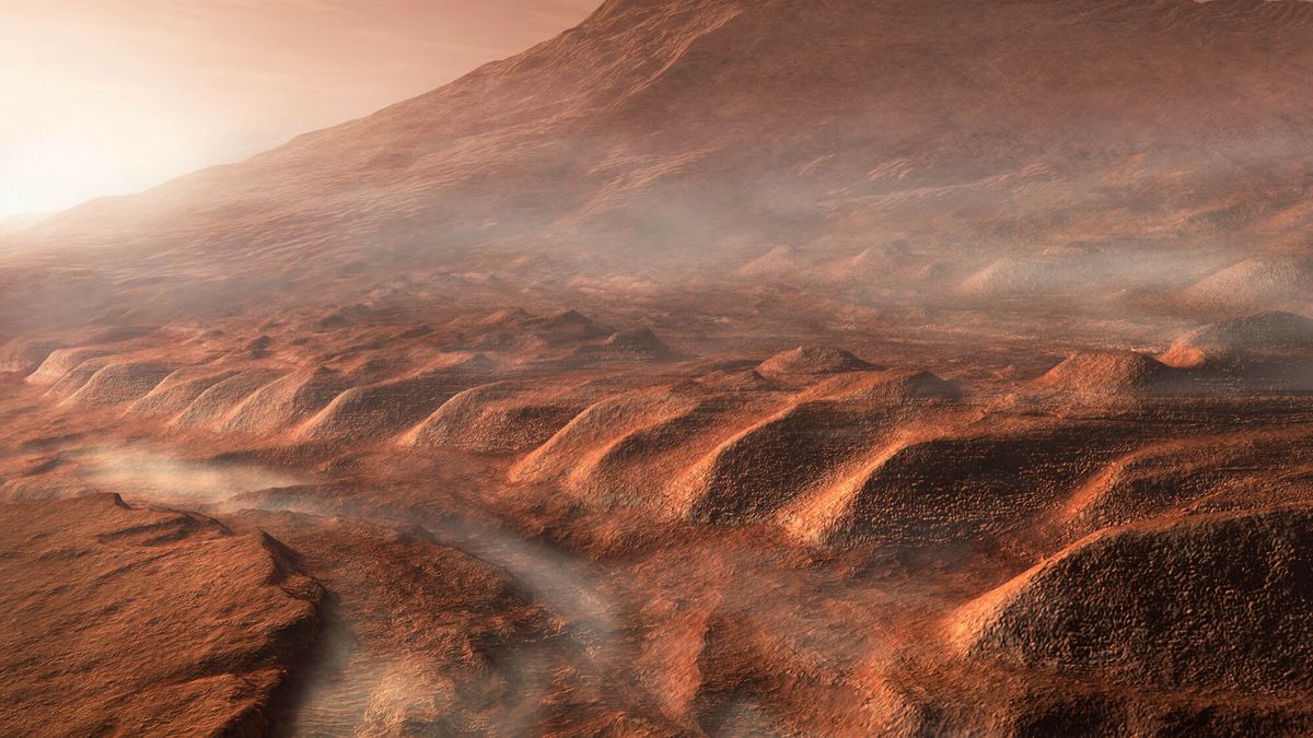 Te organizmy przetrwają na Marsie. Żyją na Ziemi 