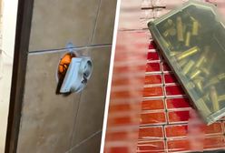 Sekretne pomieszczenie za ścianą w domu. Straż Graniczna pokazała, co było w środku