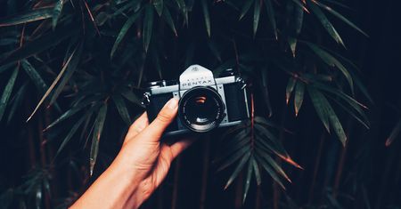 Prawdopodobnie nie będzie bezlusterkowych Pentaxów. Powód jest absurdalny